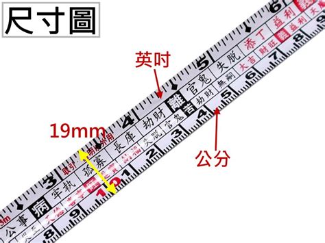 文公尺線上